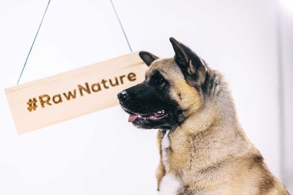RAW Nature kaltgepresstes Trockenfutter SENIOR