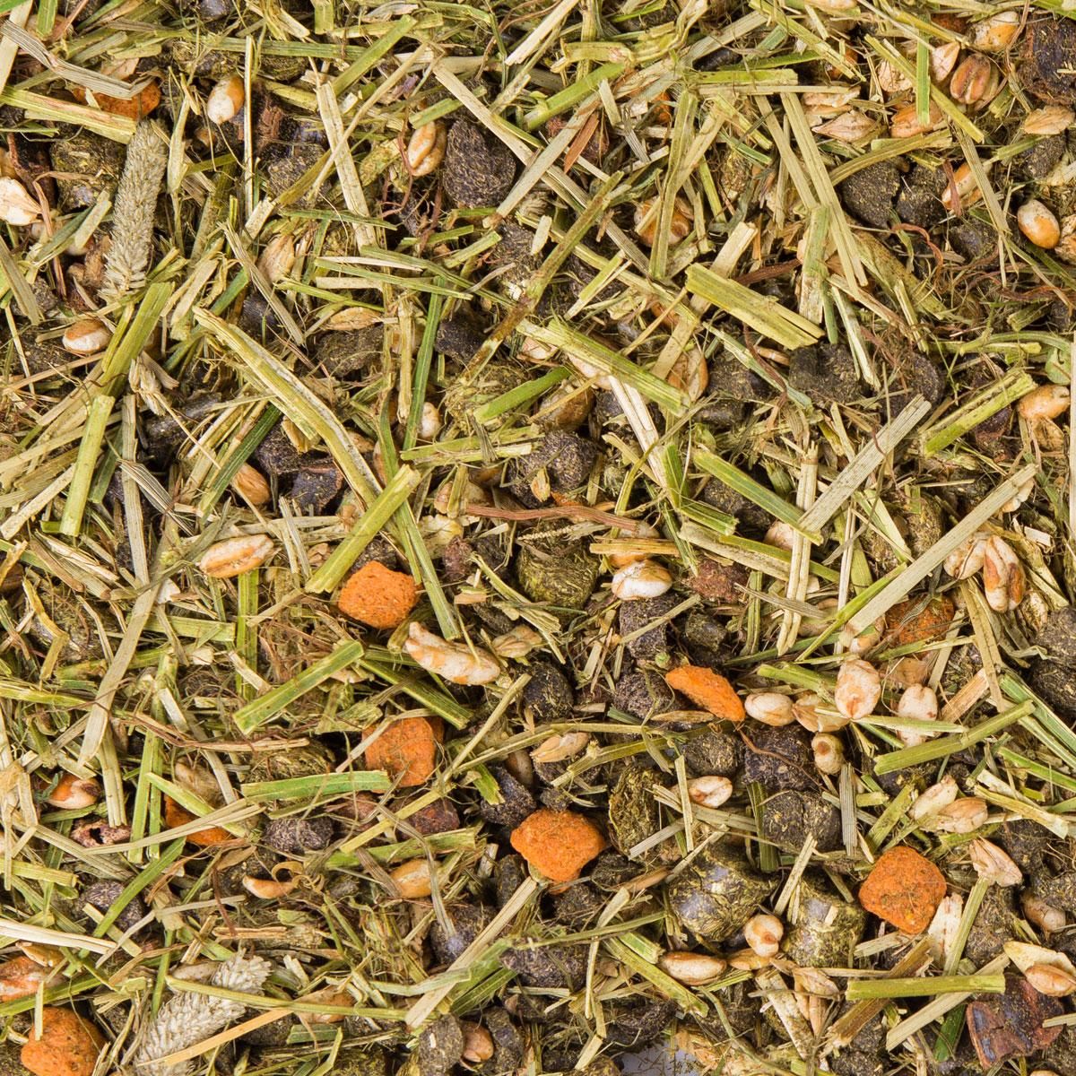 Höveler Western Basic