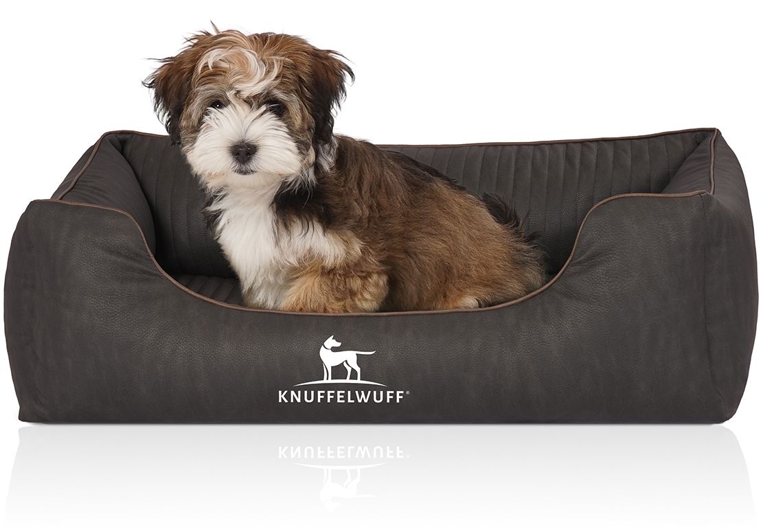 Hund sitzt in braunem Hundebett. Gepolstert, rechteckig mit Logo. Marke: Knuffelwuff.
