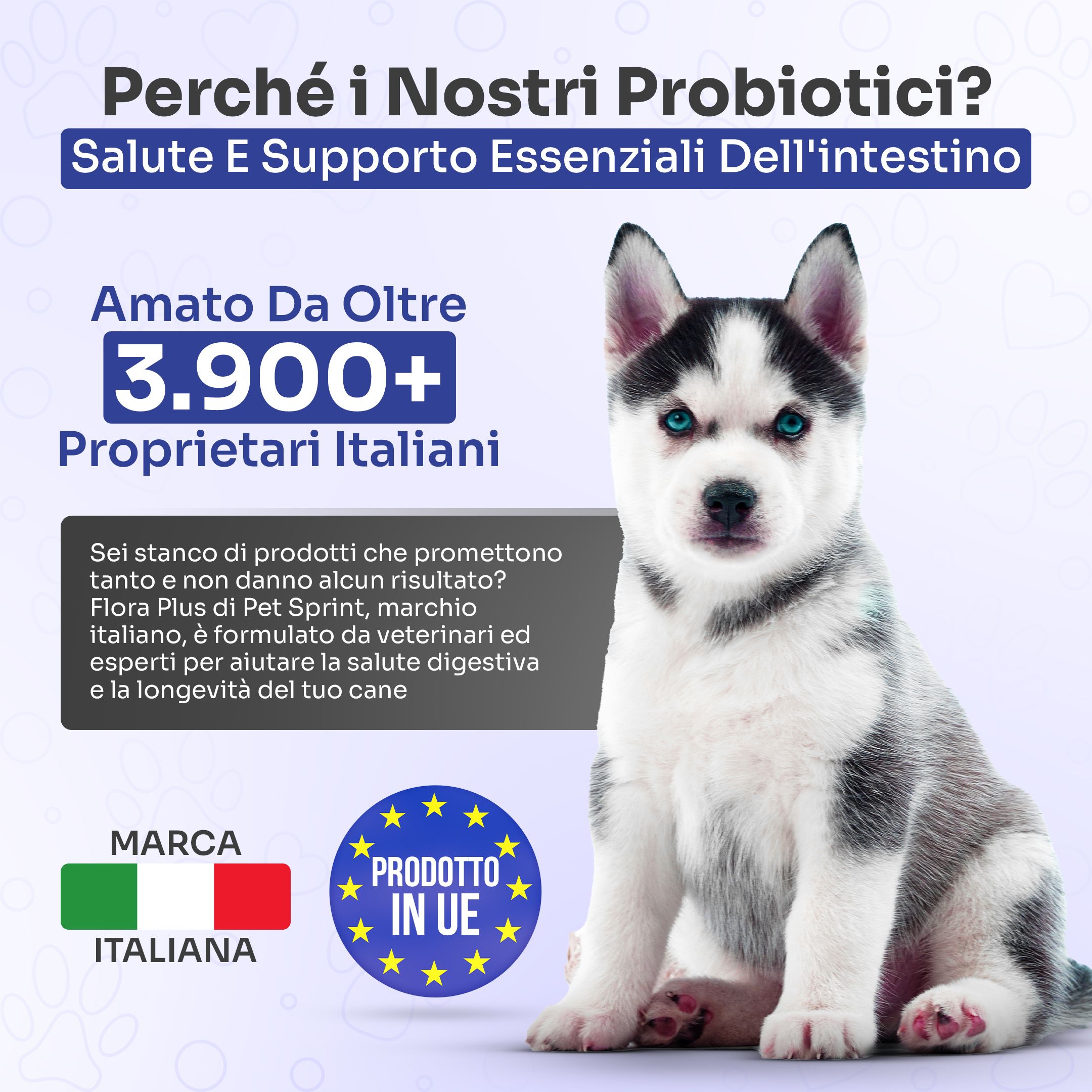 Cucciolo con Flora Plus. Testo: Perché i Nostri Probiotici? Salute E Supporto Essenziali Dell'intestino. Prodotto con marchio italiano.