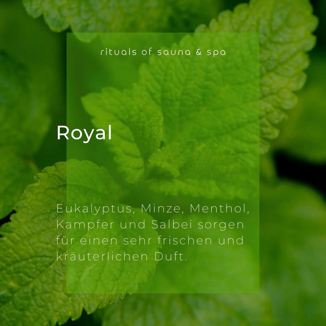 Nahaufnahme von grünen Blättern. Text: Royal. Inhaltsstoffe: Eukalyptus, Minze, Menthol, Kampfer und Salbei.