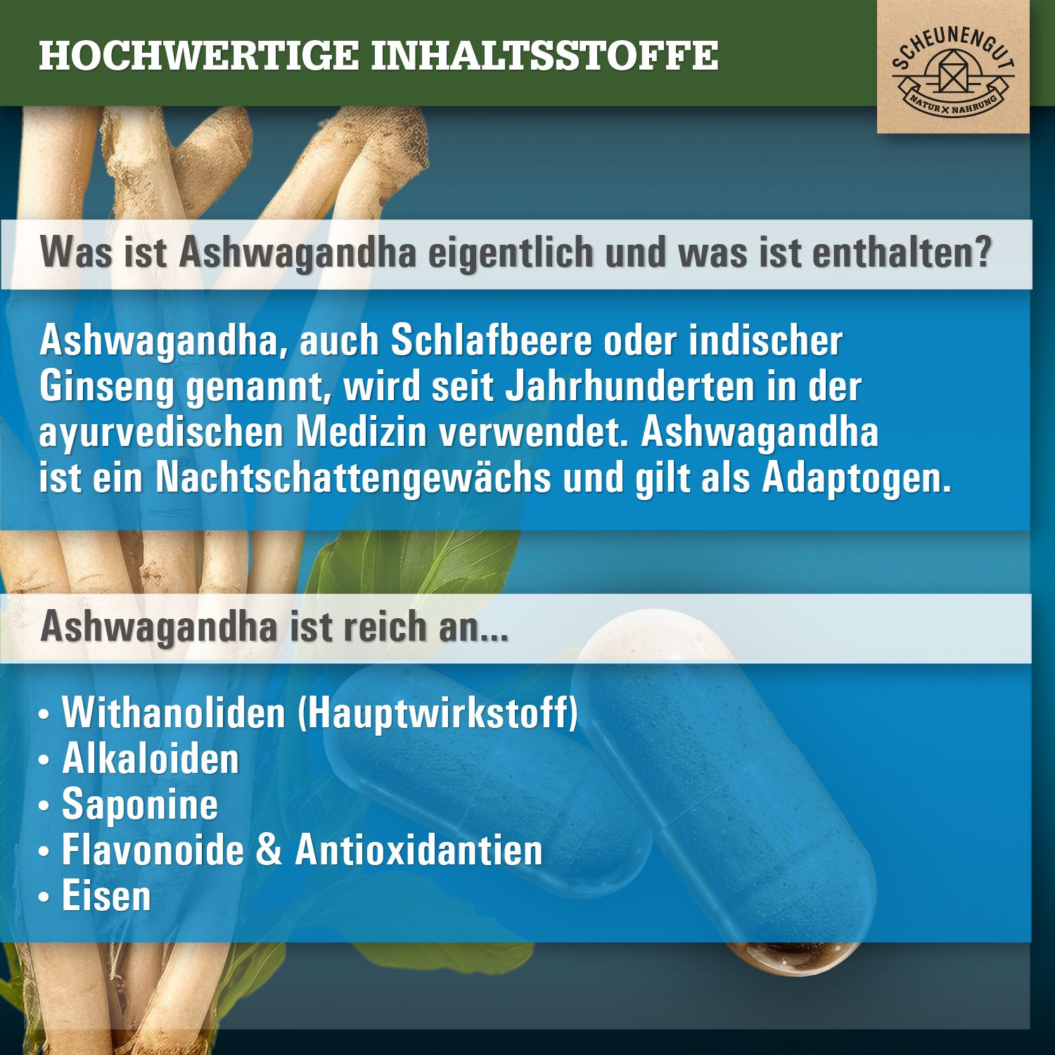 Nahaufnahme von Ashwagandha-Wurzeln und Kapseln. Text: Was ist Ashwagandha? Inhaltsstoffe: Witanolide, Alkaloide, Saponine, Flavonoide, Eisen.