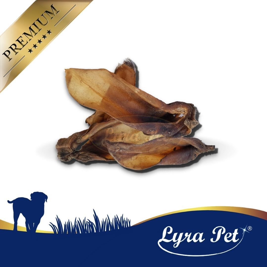 Rinderohren auf weißem Hintergrund. Logo: Lyra Pet. Goldener Aufkleber: Premium.