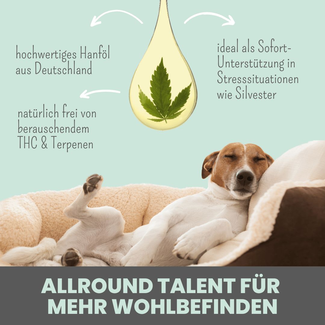 10% CBD Tropfen für Hunde aus Deutschland
