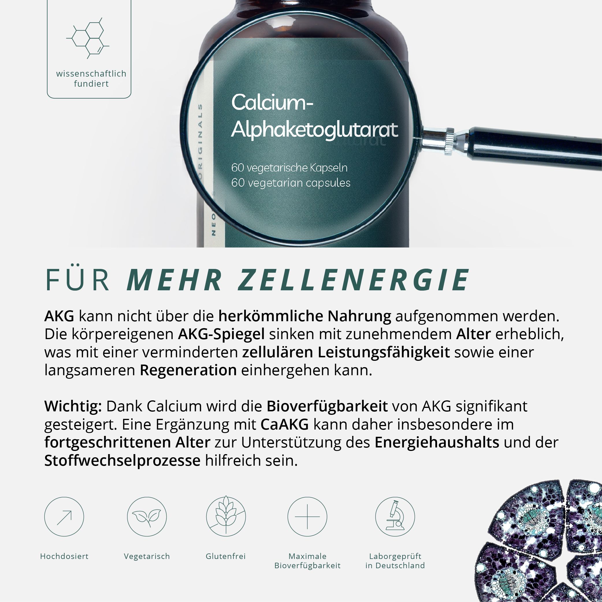 neotes Calcium-Alphaketoglutarat Kapseln
