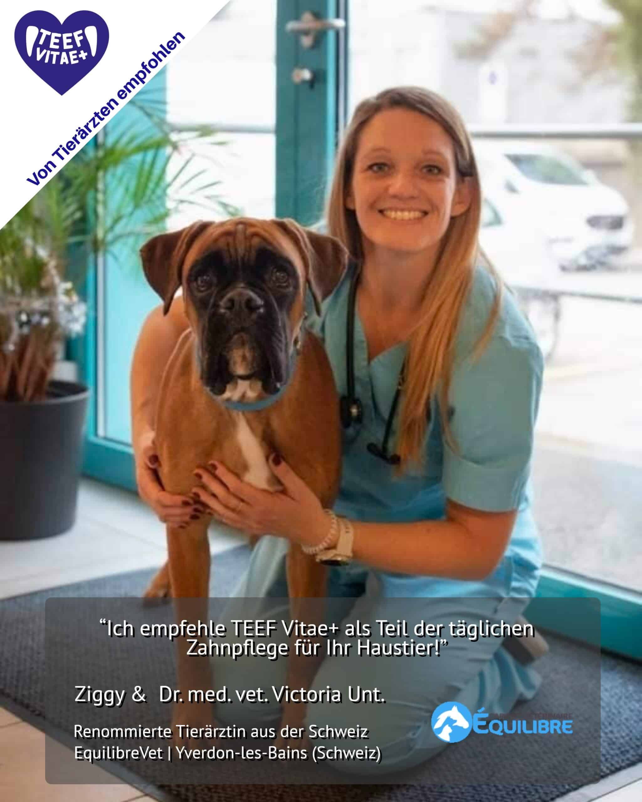 Tierhygiene24