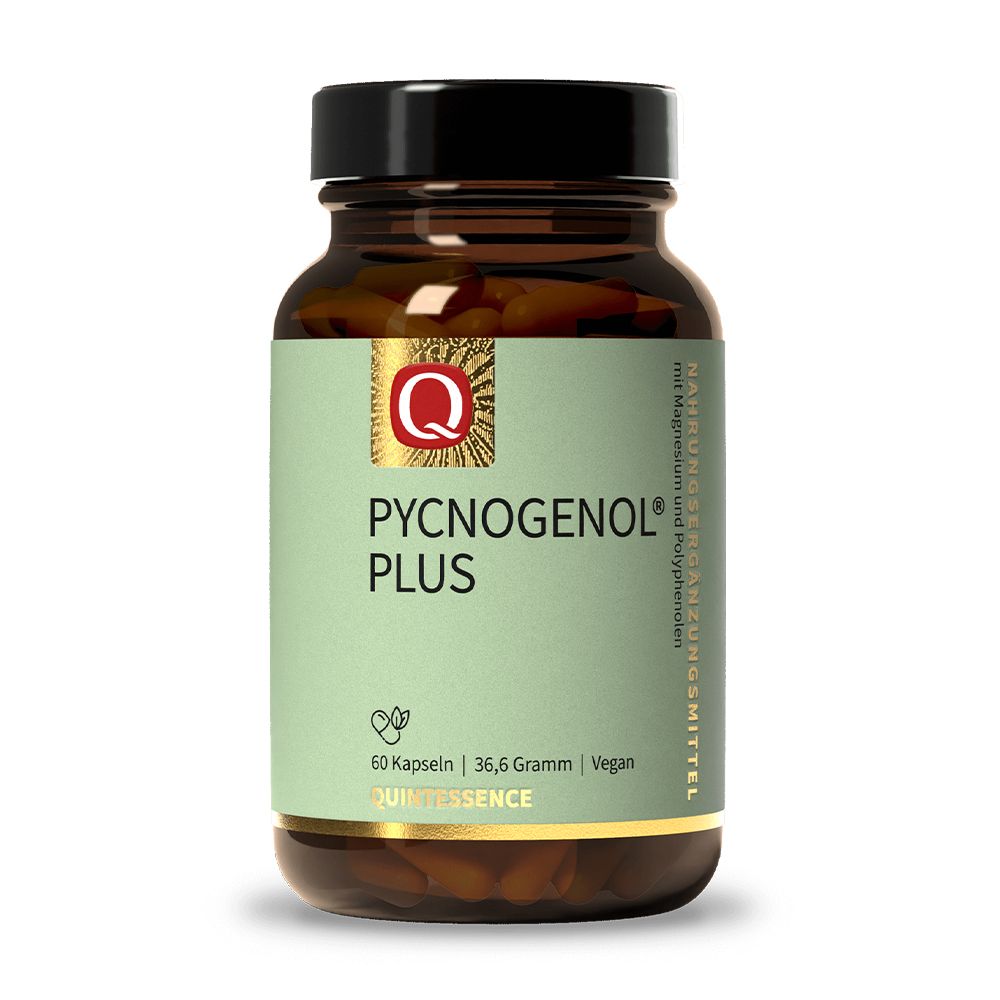 Braune Glasflasche mit Kapseln. Aufschrift: Pycnogenol Plus, 60 Kapseln, Quintessence. Grünes Etikett.