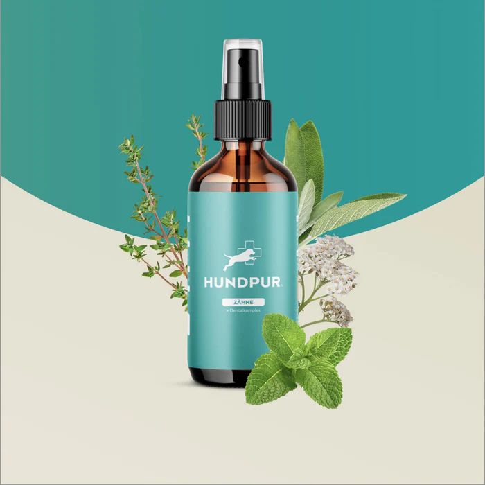 Braune Sprühflasche mit blauem Etikett. Text: Hundpur Zähne. Kräuter und Blätter umgeben die Flasche. Mint, Thymian und Schafgarbenblätter.