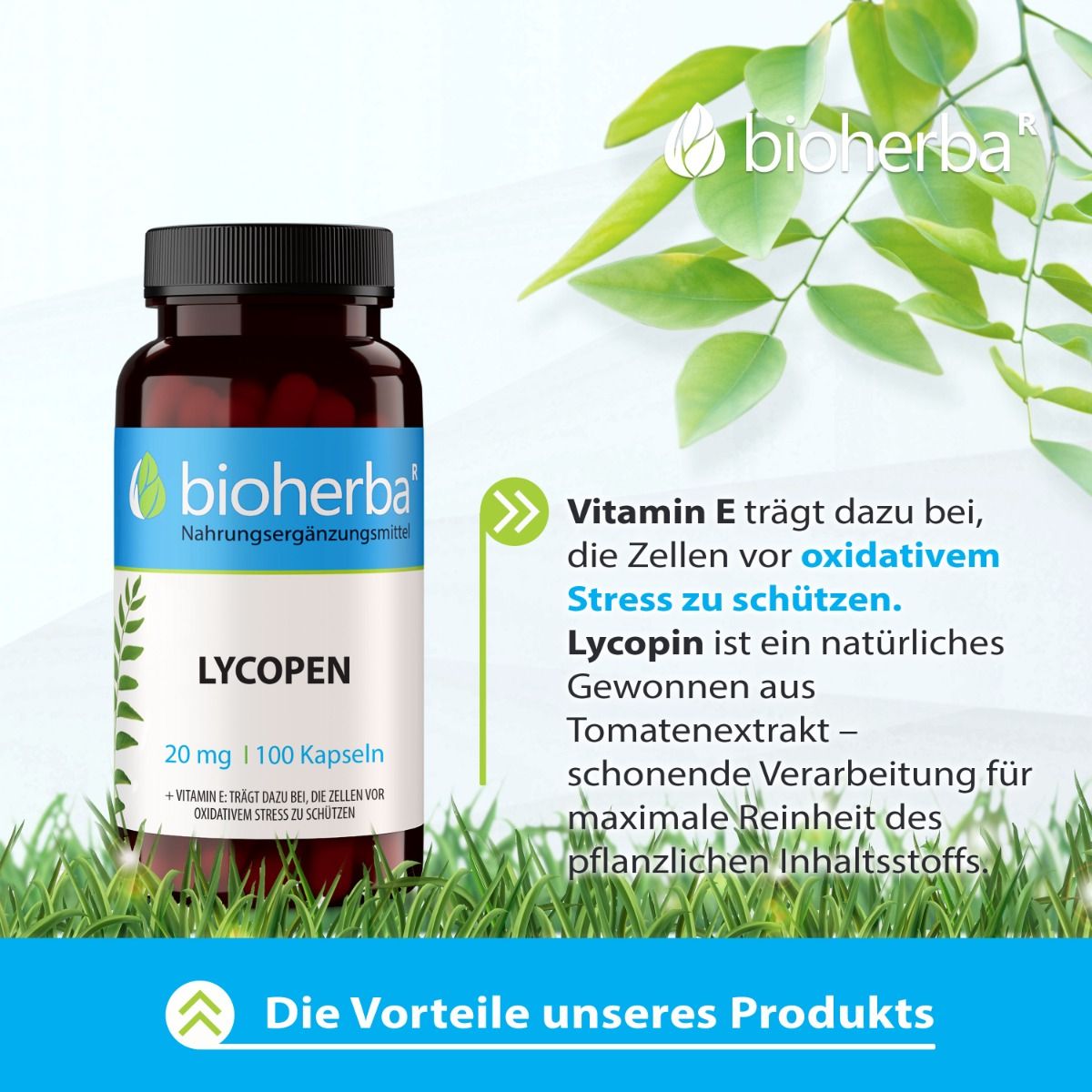 Braune Glasflasche mit schwarzen Deckel. Aufschrift Lycopen, 20 mg | 100 Kapseln. Text in deutscher Sprache. Hintergrund mit Blättern und Gras.