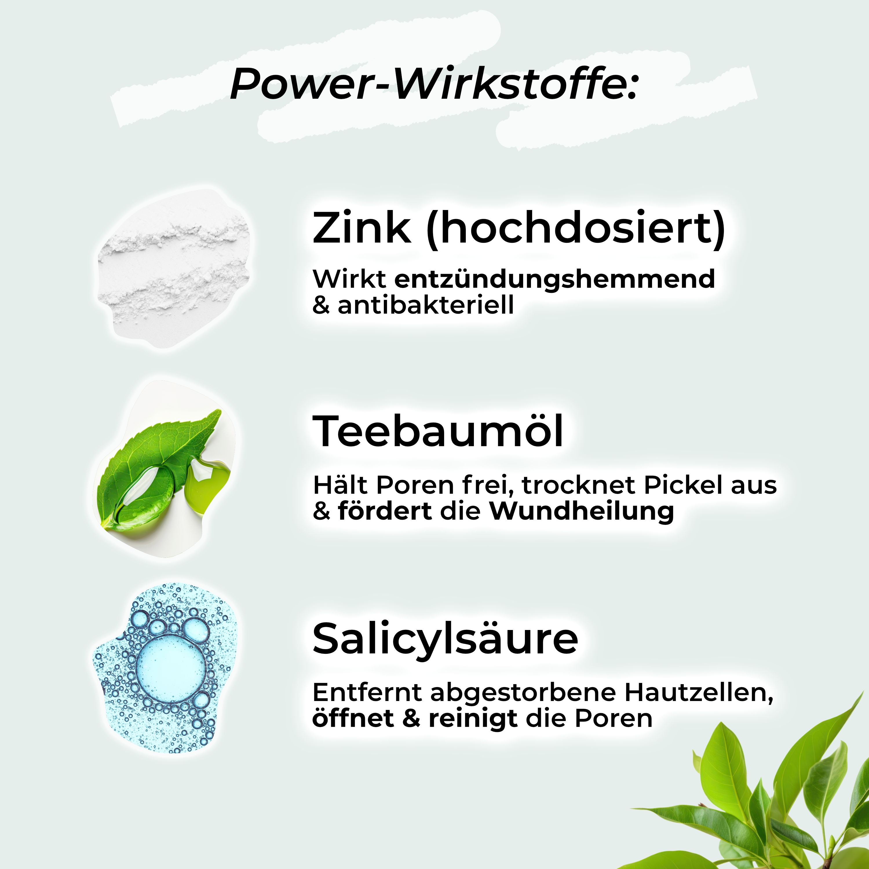 Grafik mit Inhaltsstoffen: Zink, Teebaumöl, Salicylsäure. Beschreibungen: entzündungshemmend, Poren frei, entfernt Hautzellen.