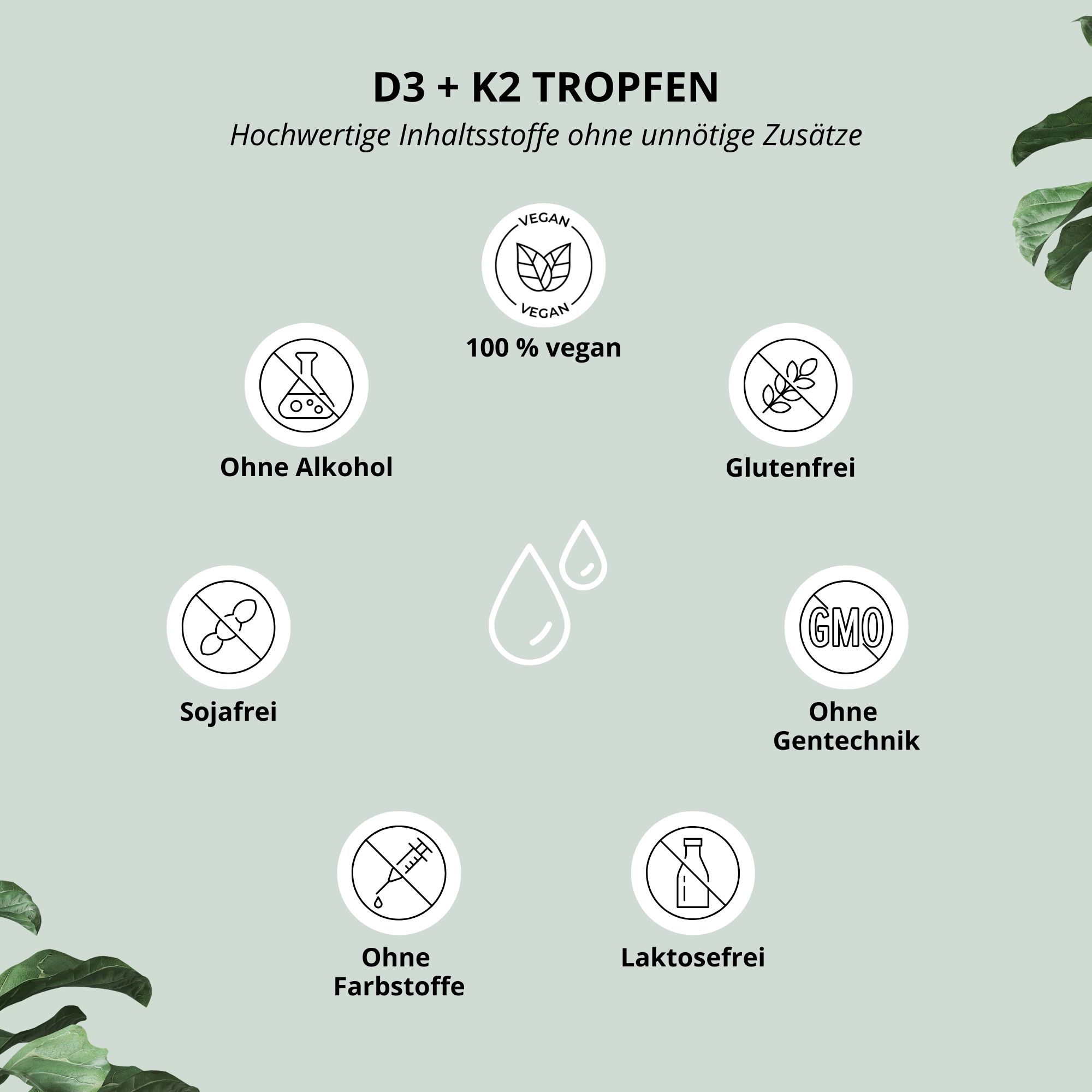 Symbole für 100% vegan, ohne Alkohol, glutenfrei, sojafrei, ohne Gentechnik, ohne Farbstoffe, laktosefrei.