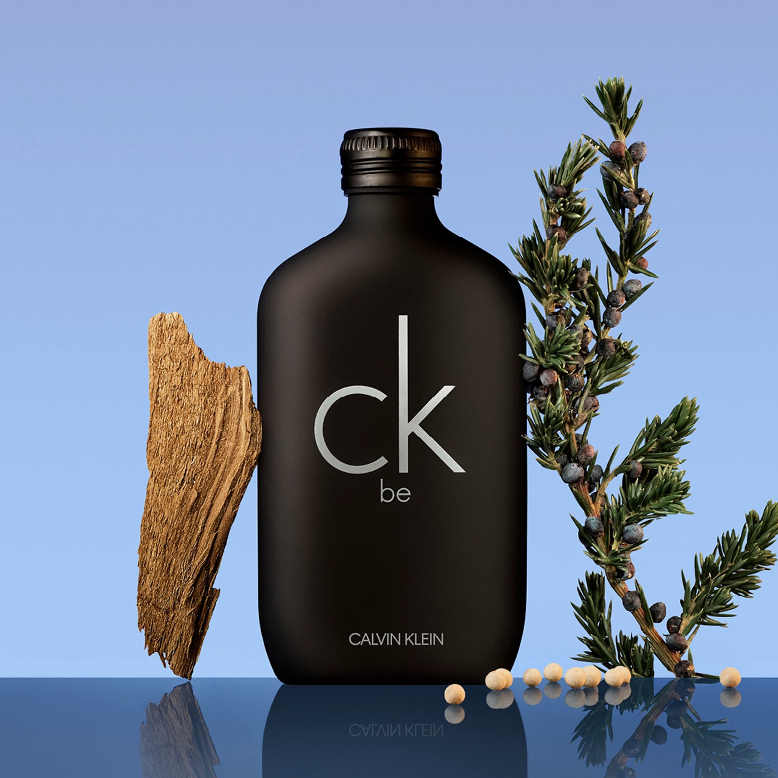 Schwarze Flasche mit 'ck be' und 'Calvin Klein' Schriftzug. Flasche mit Schraubverschluss. Dekoration mit Holz und Zweig.