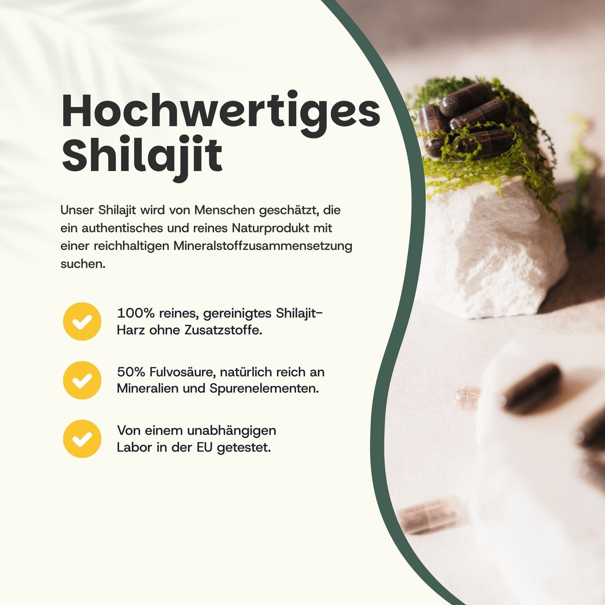 Text mit gelben Häkchen: 100% reines Shilajit, 50% Fulvosäure, getestet in der EU. Shilajit-Kapseln auf Stein.