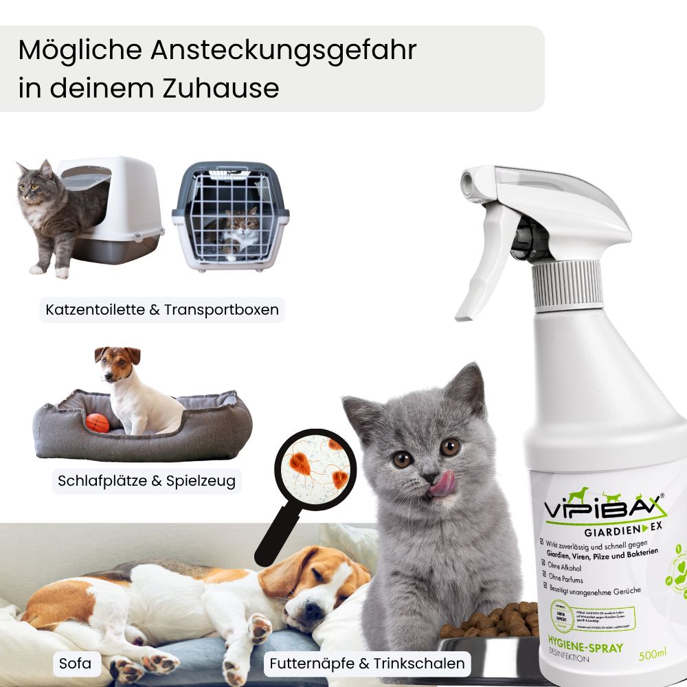 Katzentoilette, Transportbox, Hundebett, Sofa, Futternäpfe und Trinkschalen. Katze und Hund. ViPiBaX Giardien EX® Spray.