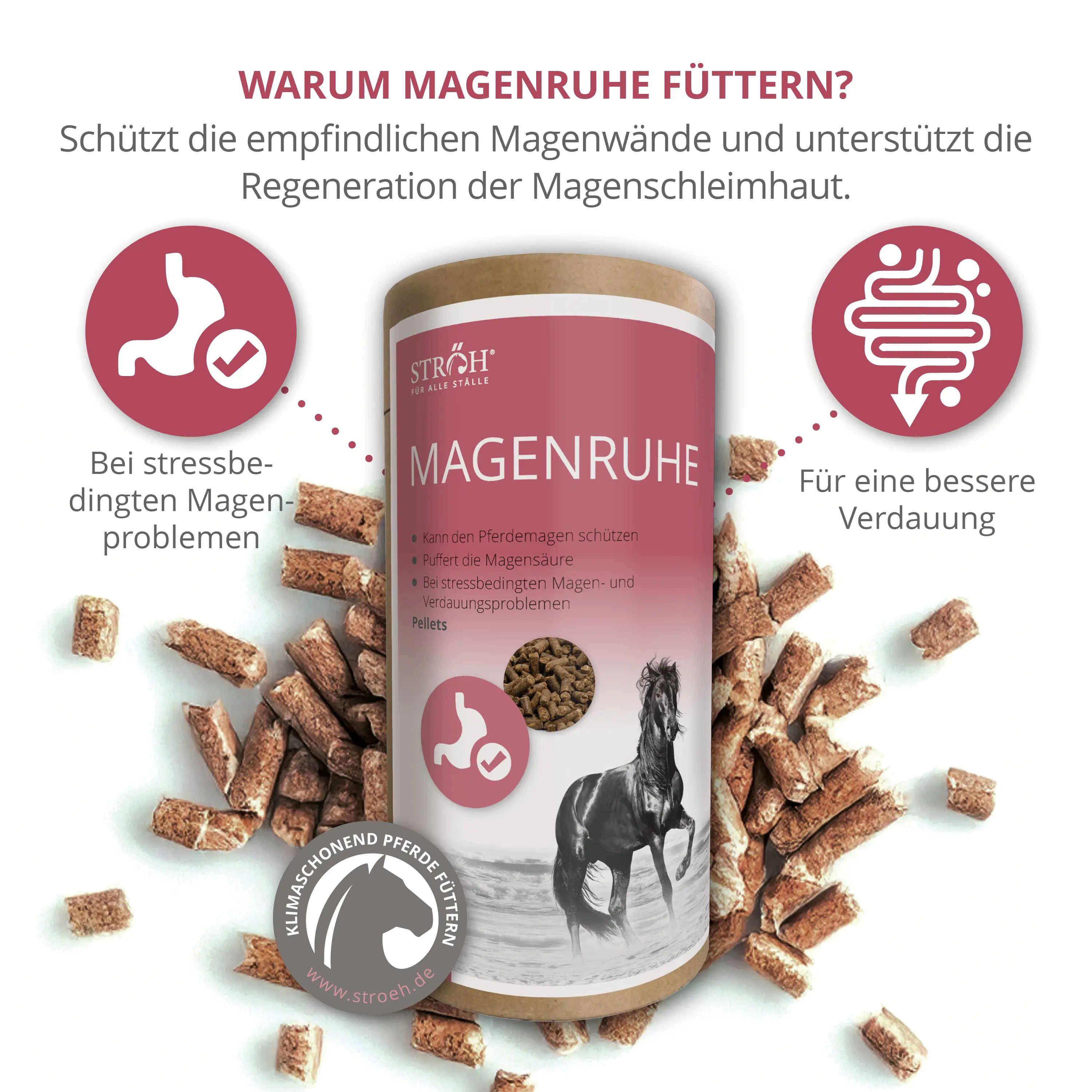 STRÖH Magenruhe  Feedbox Dose
