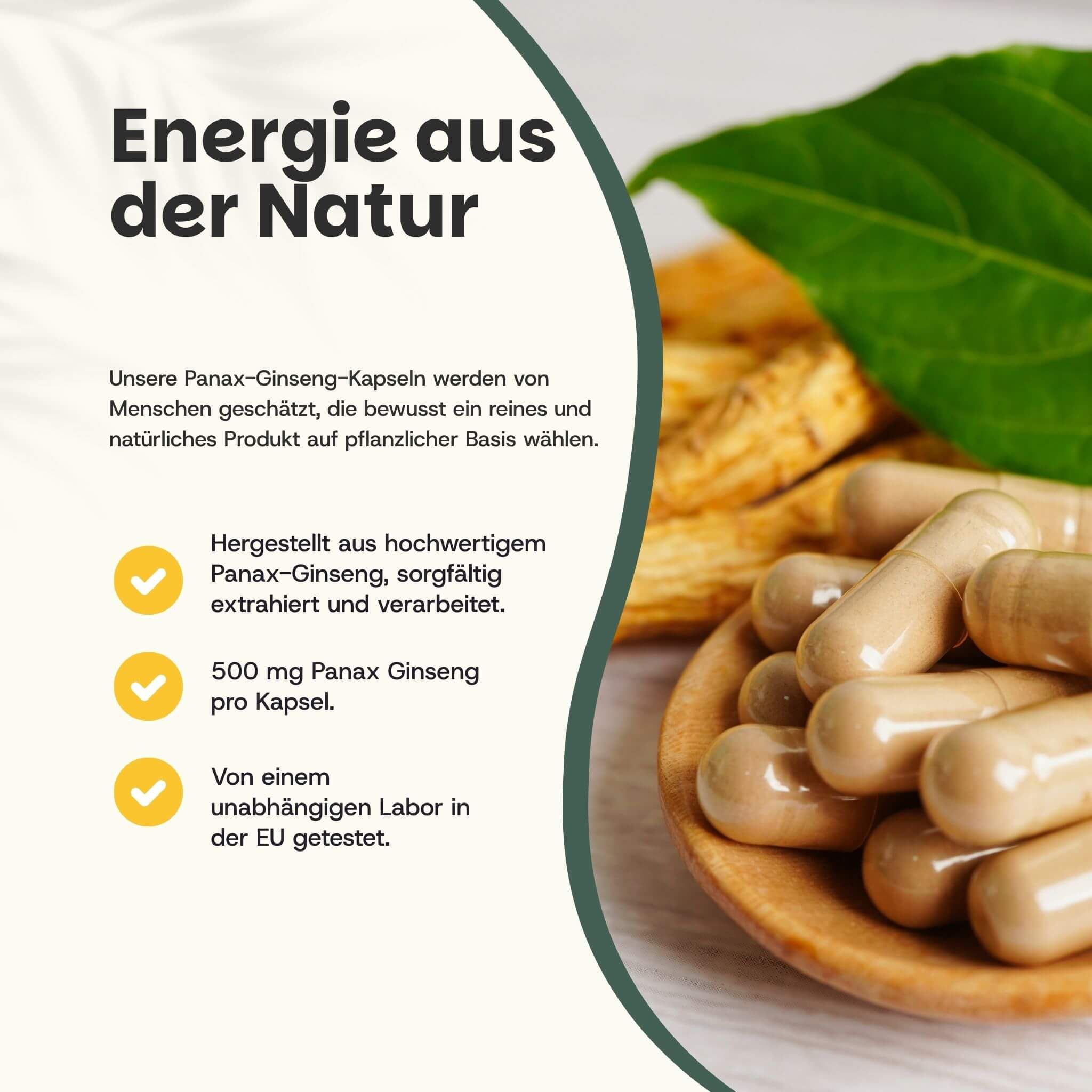 Kapseln auf einem Löffel. Text: 500 mg Panax Ginseng pro Kapsel. Gelbe Kapseln. Hintergrund: Ginsengwurzel und Blatt.