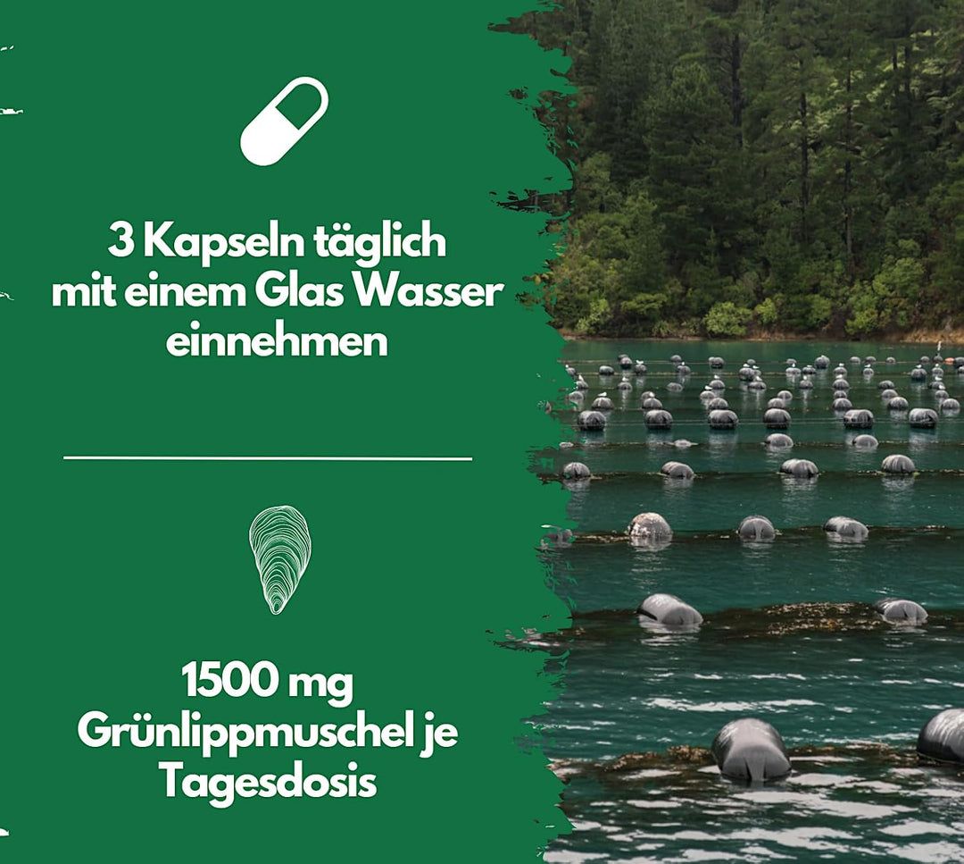 Anwendungshinweis: 3 Kapseln täglich mit Wasser einnehmen. 1500 mg Grünlippmuschel pro Tagesdosis.