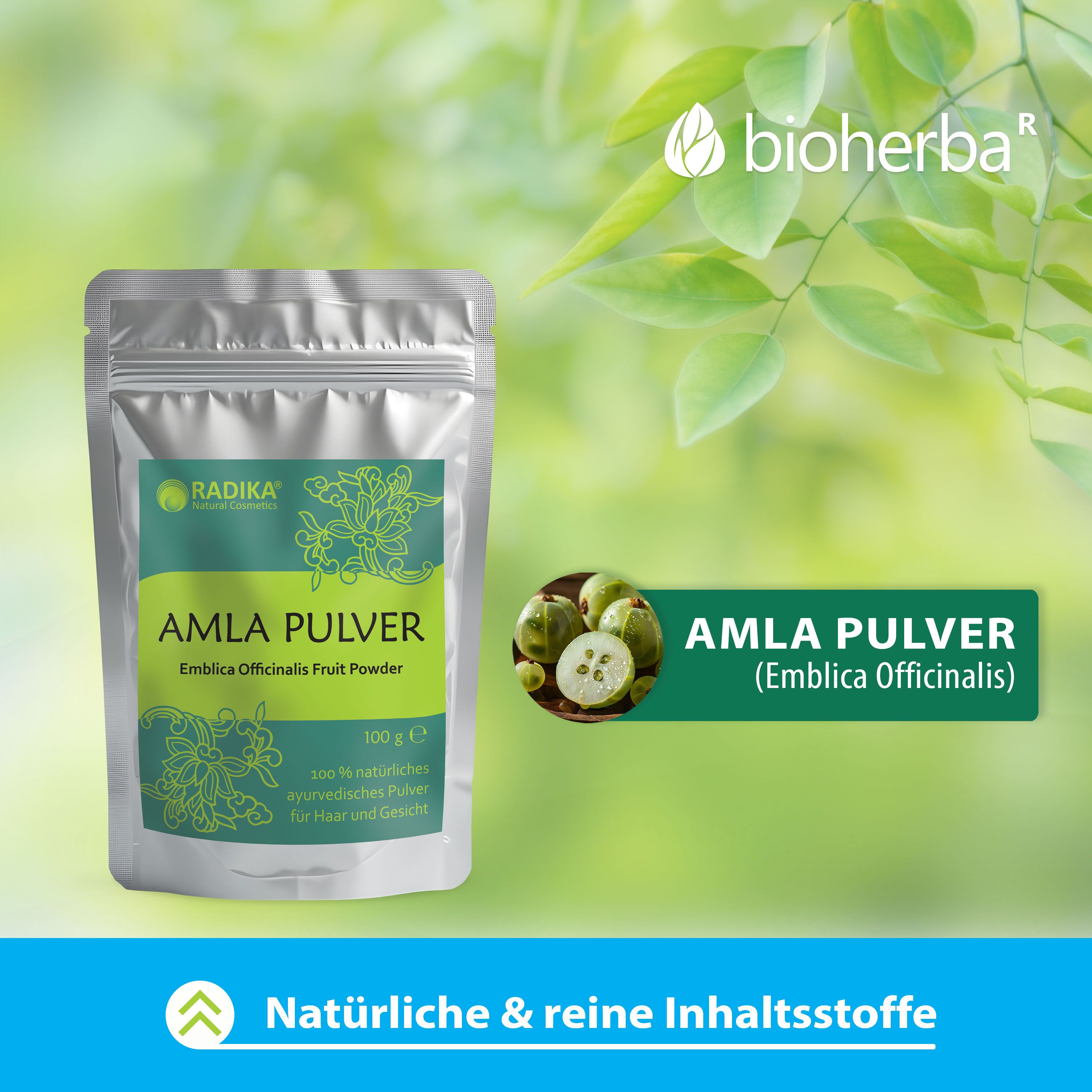 Silberfarbener Beutel mit grünem Etikett. Text: Amla Pulver, Emblica officinalis. Logo: Radika. Aufdruck: 100 g. Produkt mit Amla-Früchten.