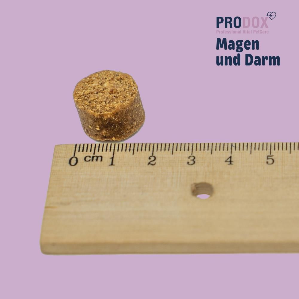 Einzelne Vital Bite neben Lineal. Zylindrische Form, braune Farbe. Lineal zeigt 1 cm.