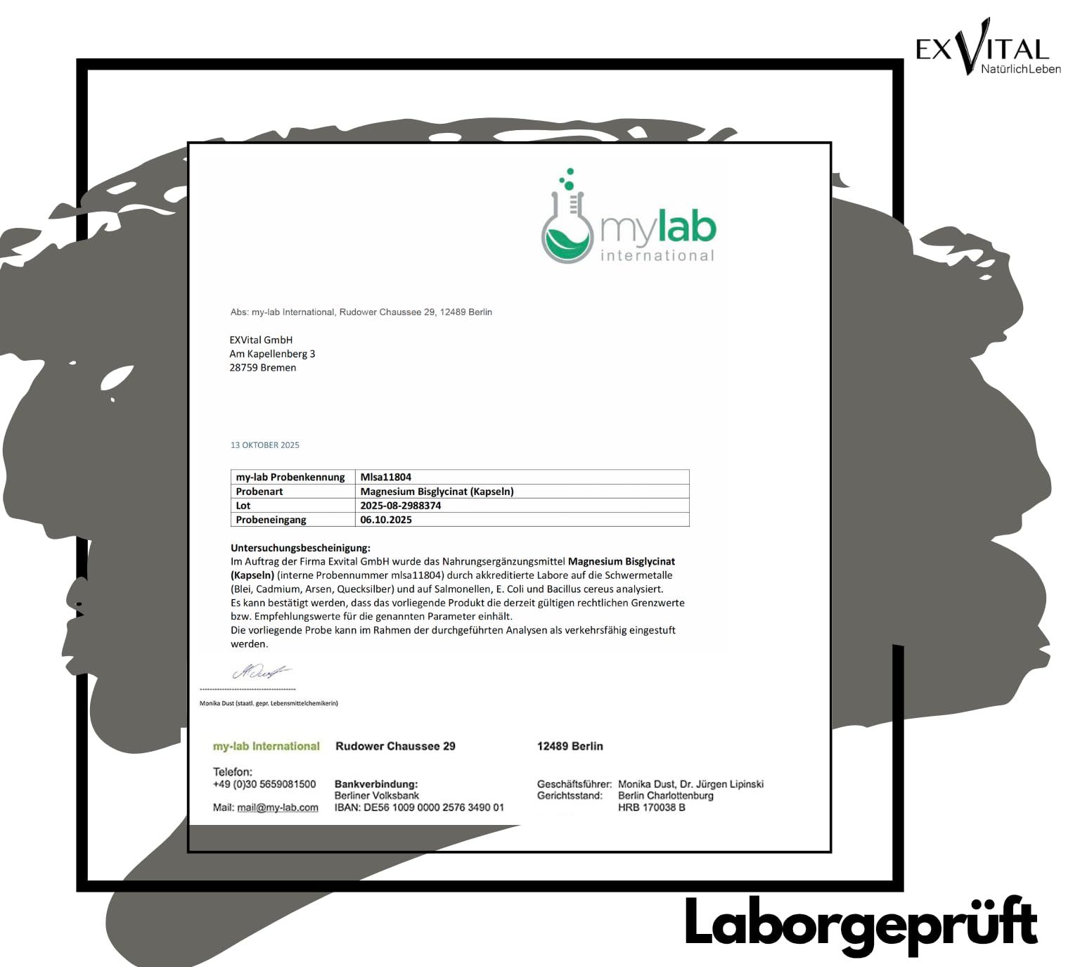 Laborbericht von mylab international. Enthält Informationen zu Magnesiumbisglycinat (Kapseln).