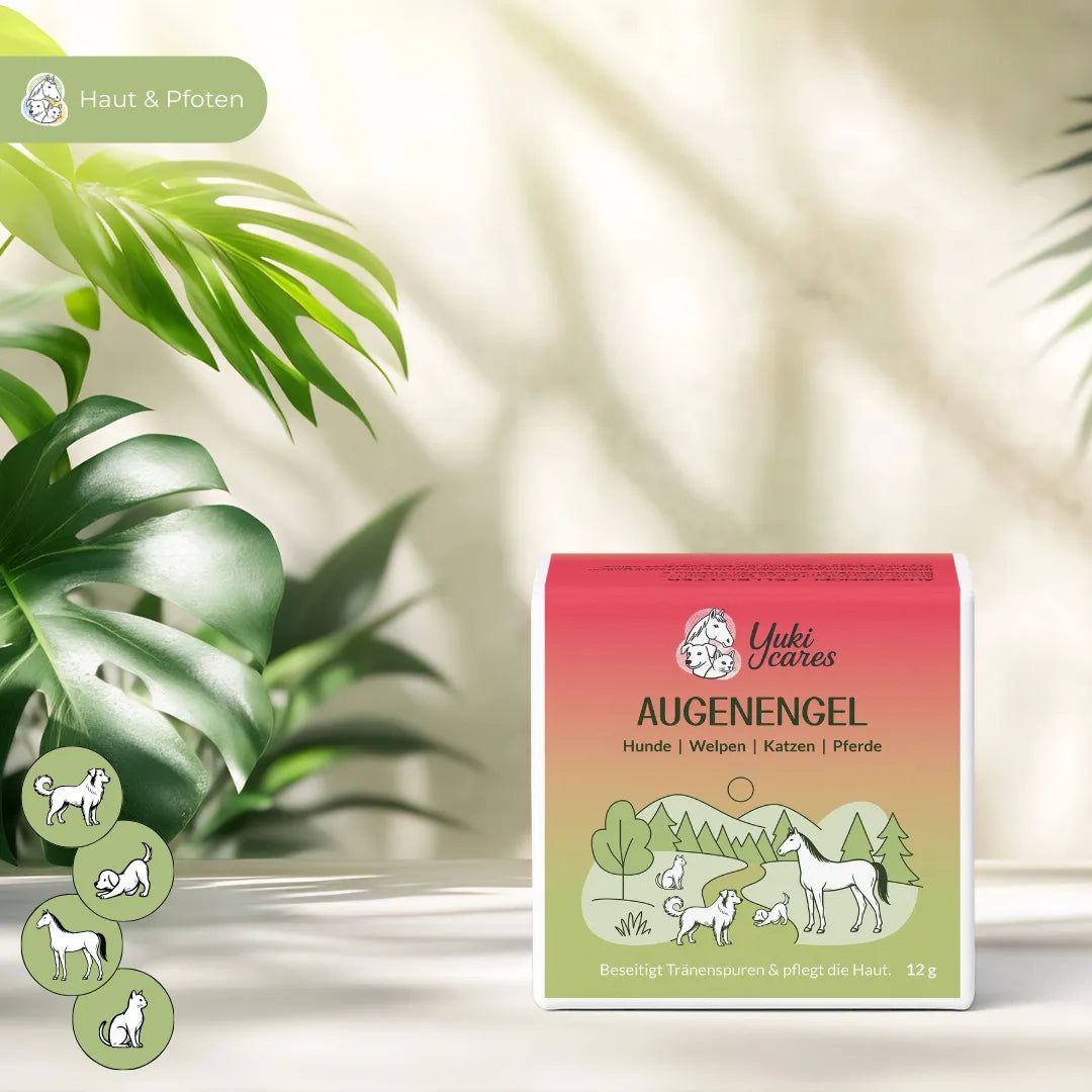 Yuki cares Augenengel