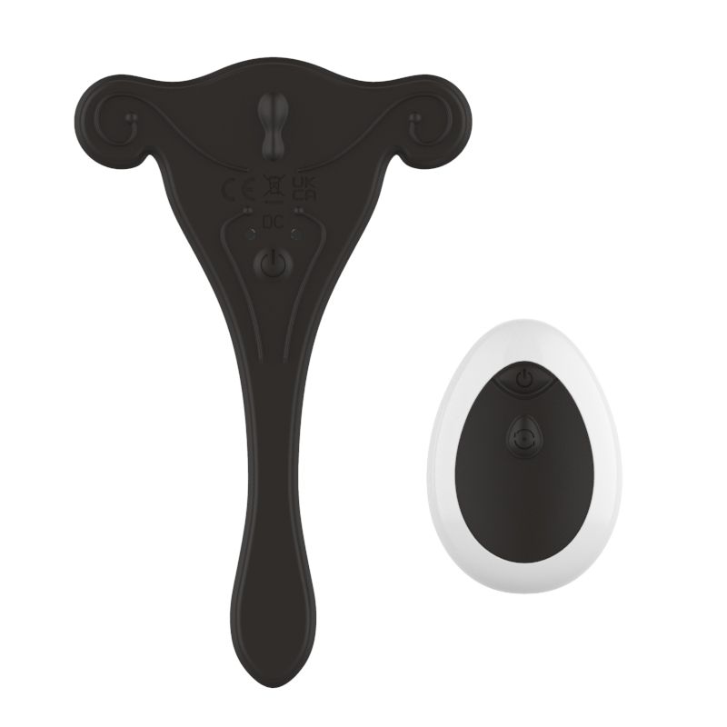 Schwarzer Vibrator und weiße Fernbedienung. Auf der Unterseite des Vibrators sind Symbole zu sehen.