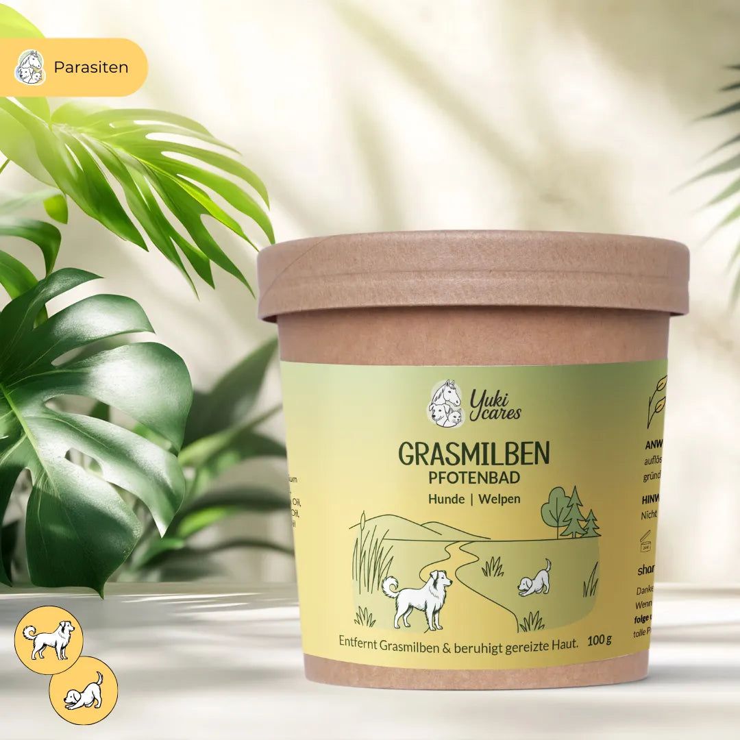 Behälter mit Deckel. Aufschrift: Yuki cares Grasmilben Pfotenbad für Hunde. Illustration: Hunde auf Wiese.