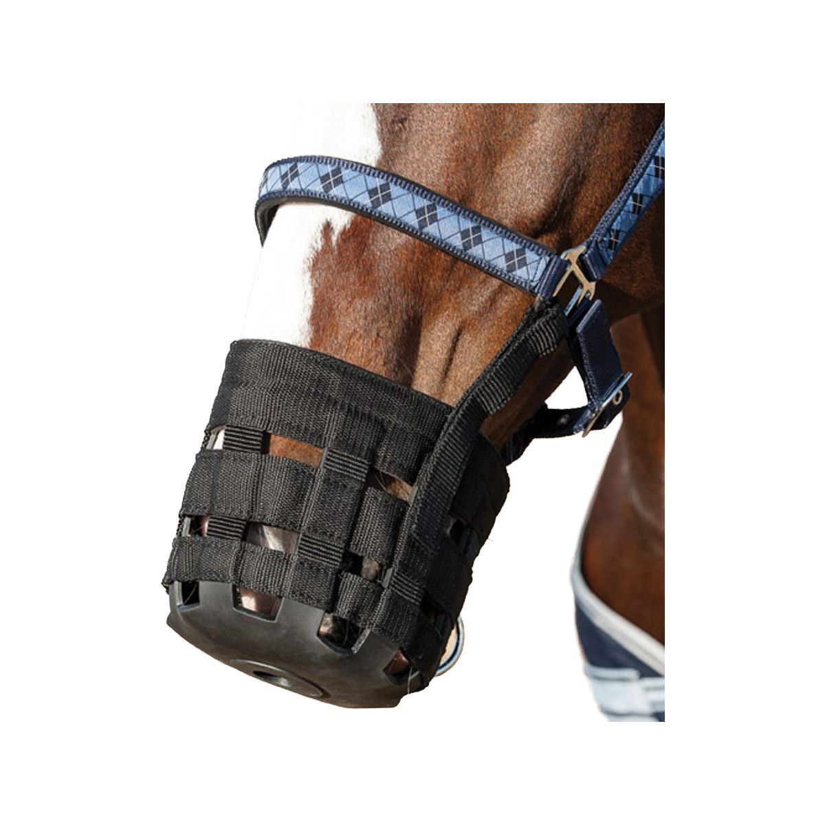 Schwarzer Weidemaulkorb am Pferd. Der Maulkorb hat ein gewebtes Design und einen blauen Riemen mit Rautenmuster.