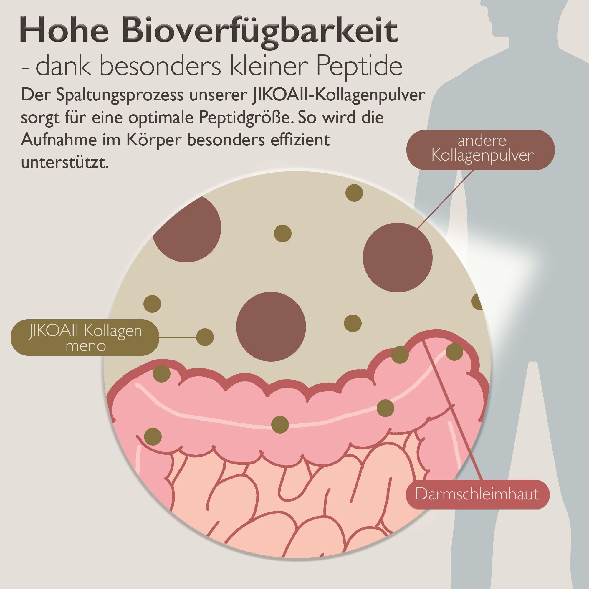 JIKOAII Kollagenpulver MENO - Kollagen mit Coenzym Q10, Zink, Spermidin & MSM - Menopausekomplex