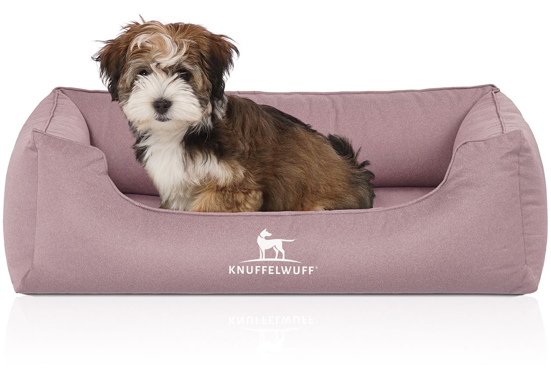 Hundebett in Rosa mit einem Hund. Rechteckige Form mit erhöhten Seiten. Weißes Logo 'Knuffelwuff' auf der Vorderseite.