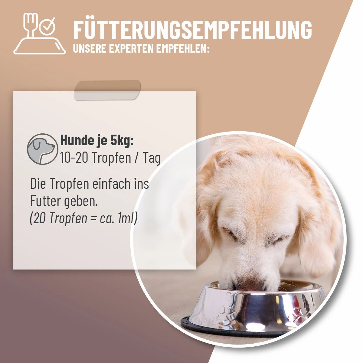 Magen & Darm Tropfen - ReaVET