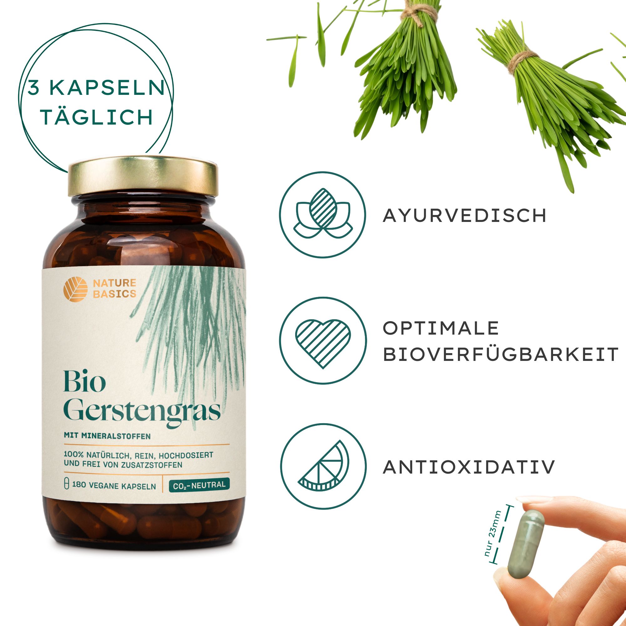 Braune Glasflasche mit Kapseln. Text: Bio Gerstengras, 180 vegane Kapseln. Grünpflanzen und Kapsel in Hand. Text: 3 Kapseln täglich, antioxidativ.
