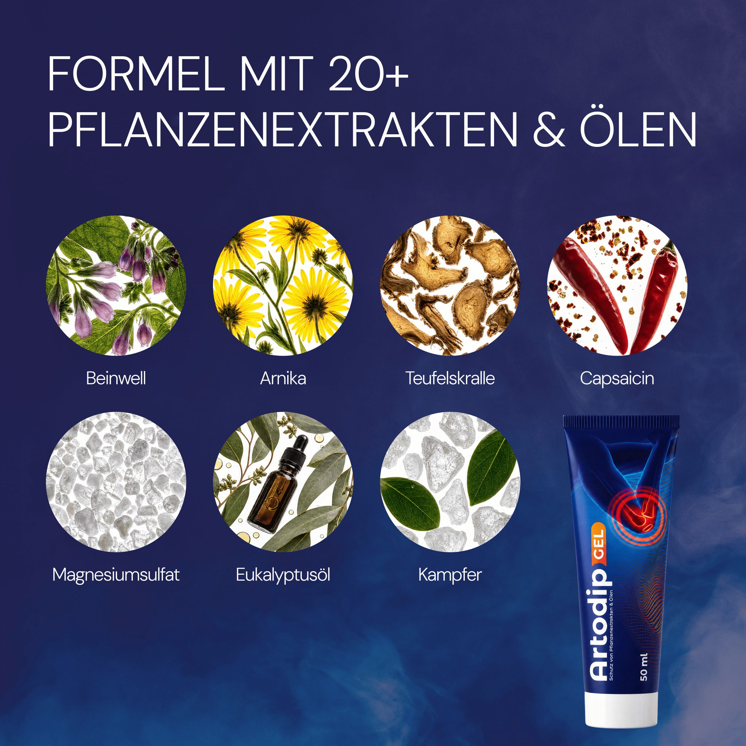 Artodip Gel Formel mit 20+ Pflanzenextrakten & Ölen: Beinwell, Arnika, Teufelskralle, Capsaicin.