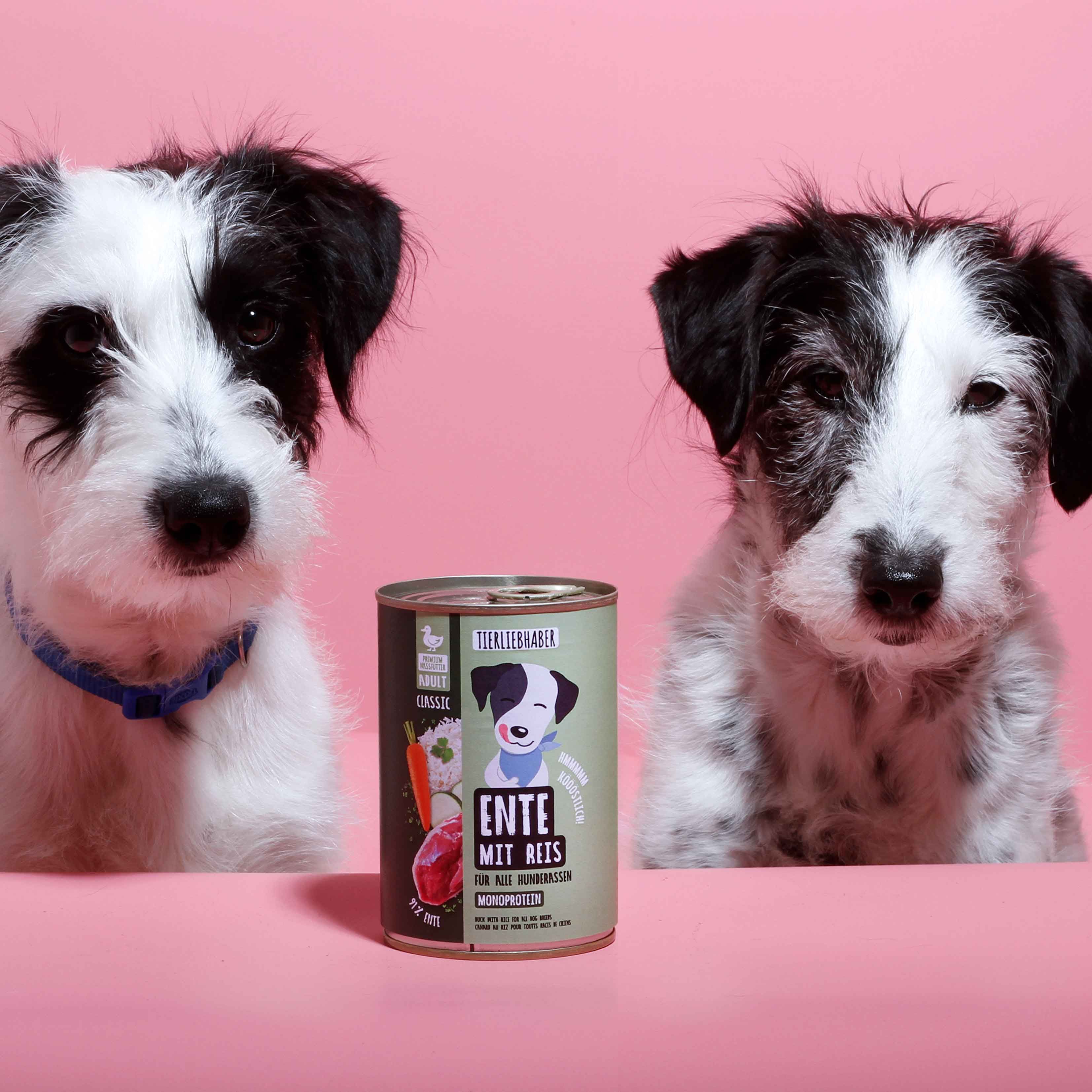 Zwei Hunde schauen auf eine Dose Hundefutter. Dose mit Aufschrift "Ente mit Reis". Rosa Hintergrund.