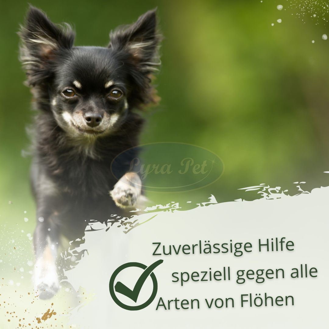 IPERON® SPOT-ON kleine Hunde
