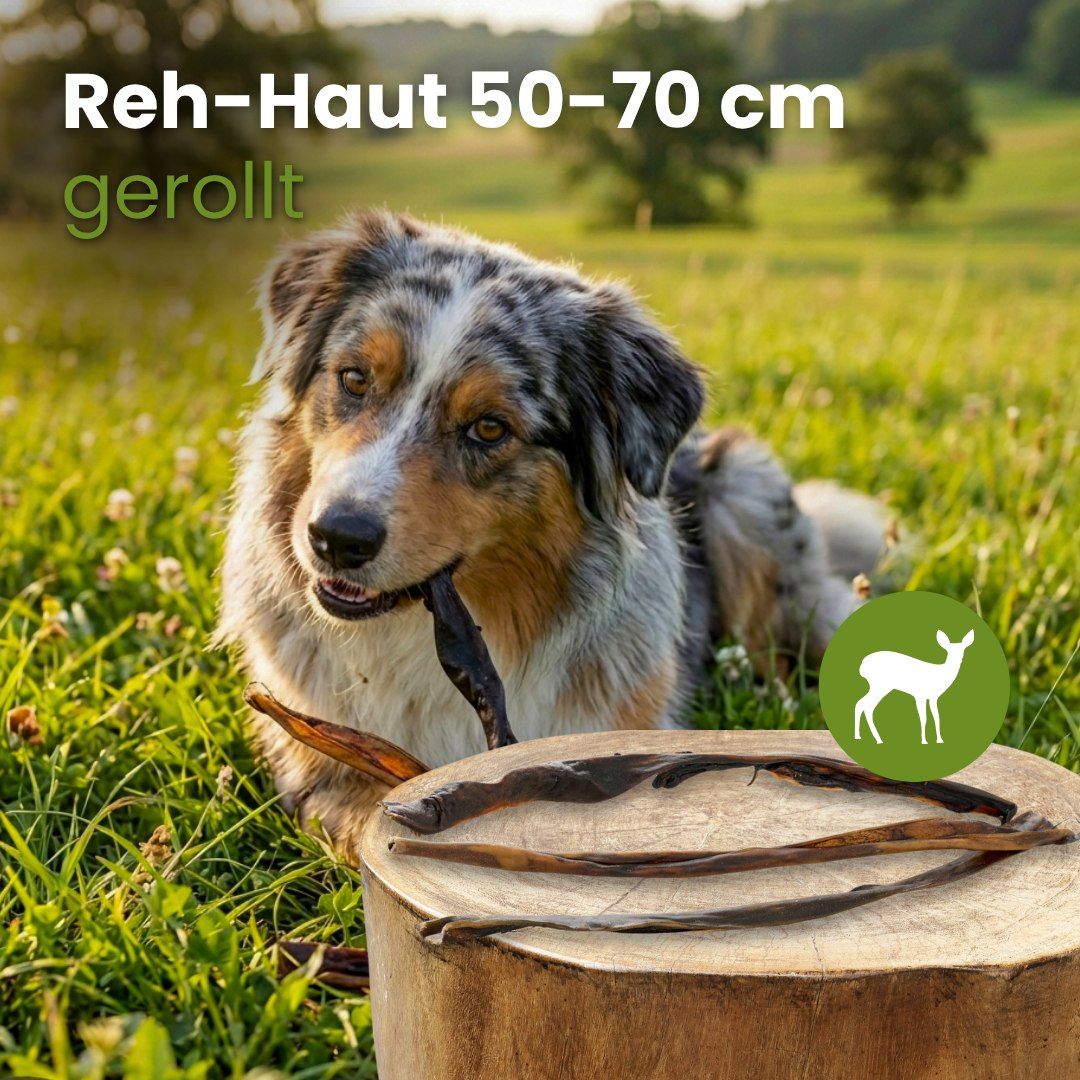 Gerollte Reh-Haut, 50-70 cm lang, als Hundekauartikel.