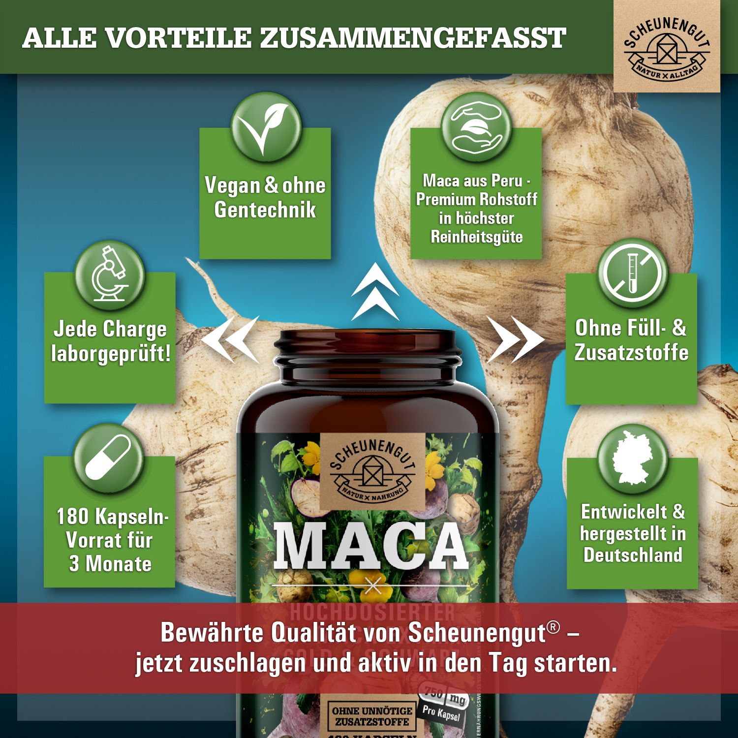 Braune Flasche mit Kapseln. Aufschrift: MACA, 20:1 Extrakt, Gold & Schwarz. Grafiken zeigen Vorteile: vegan, laborgeprüft.
