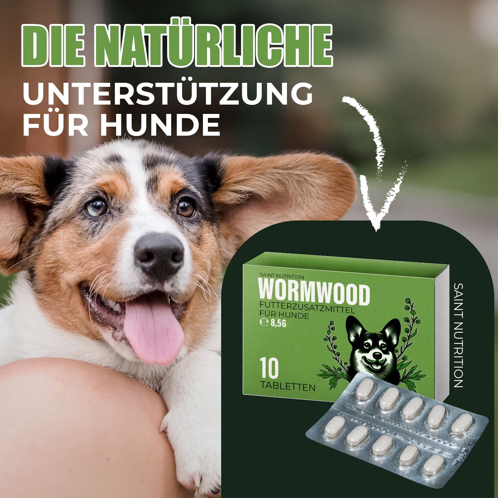 Produktverpackung und Tabletten neben einem Hund. Text: Saint Nutrition, Wurmwood, Futterzusatzmittel für Hunde. 10 Tabletten. E 8,5g. Natürliche Unterstützung.