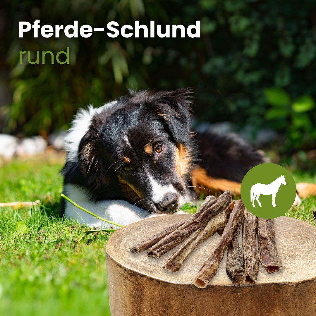 Getrocknete Pferde-Schlundstücke, rund, mit Hund und Pferdesymbol.