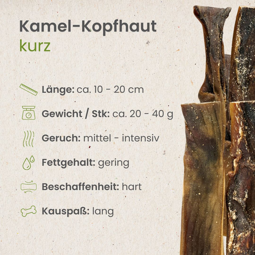 Nahaufnahme von getrockneten Stücken Kamel-Kopfhaut.