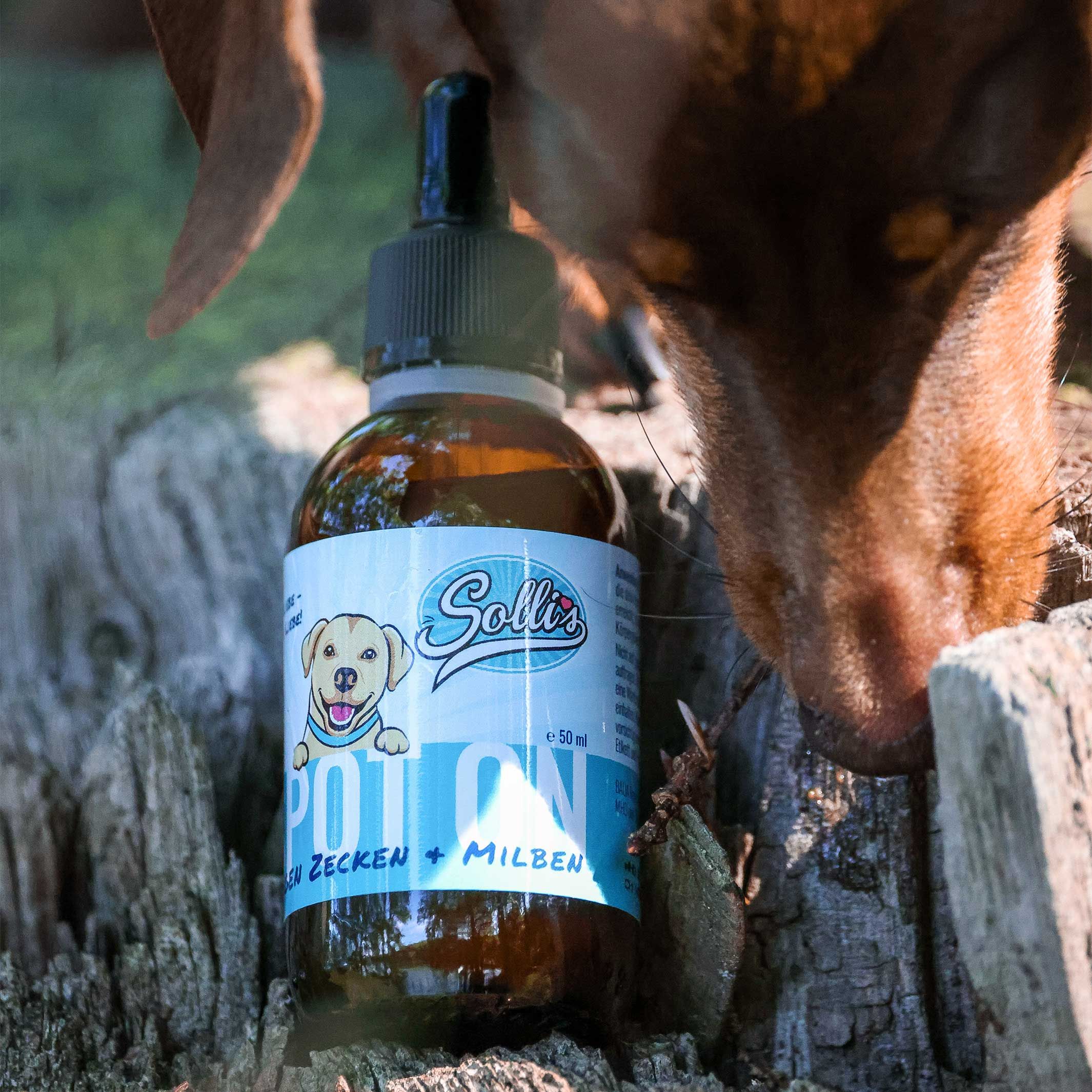 Braune Glasflasche mit Pipette. Etikett mit Logo und Schriftzug. Hund schnuppert an der Flasche.