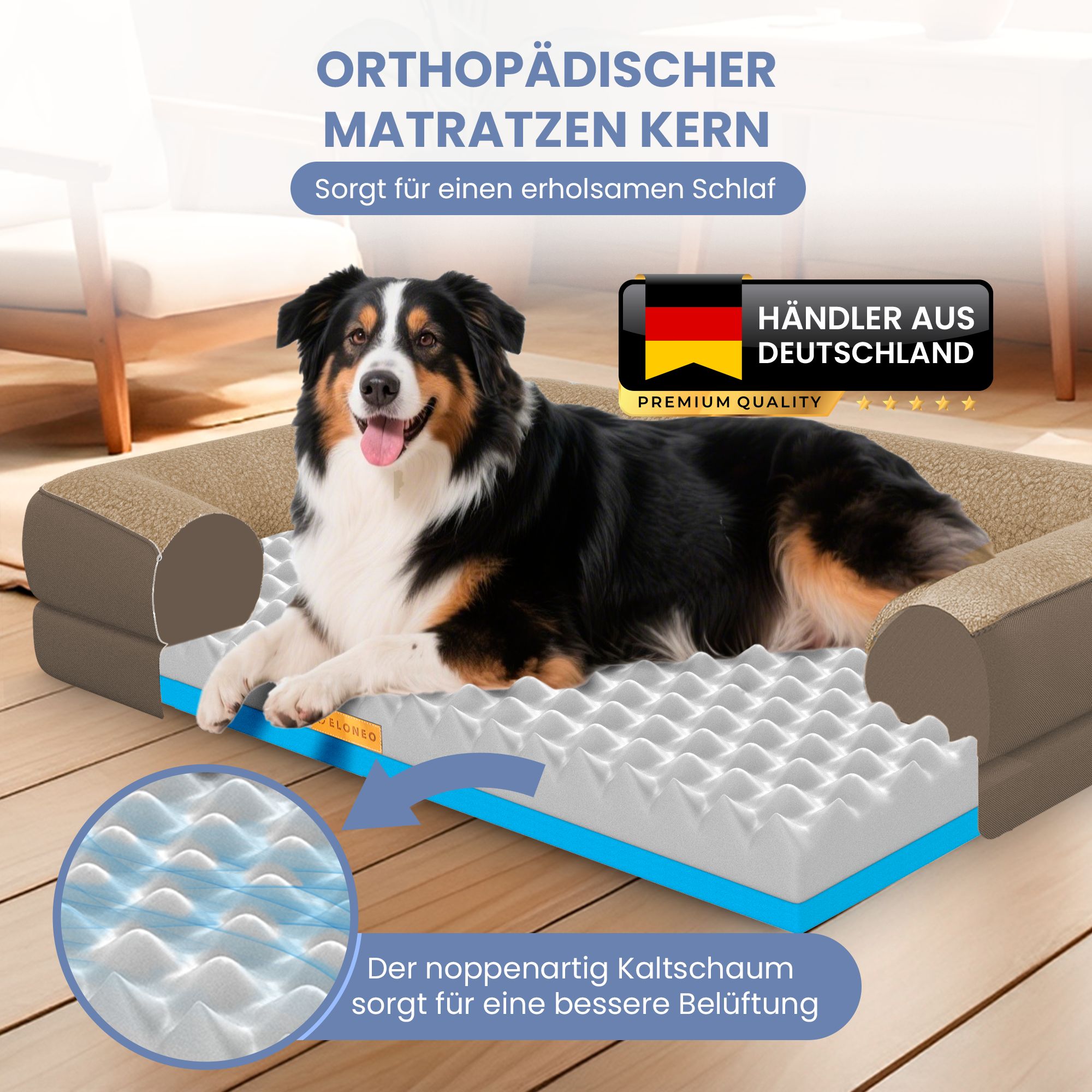 Orthopädisches Hundebett, braun. Hund liegt auf der Matratze. Text: Orthopädischer Matratzenkern. Sorgt für erholsamen Schlaf.