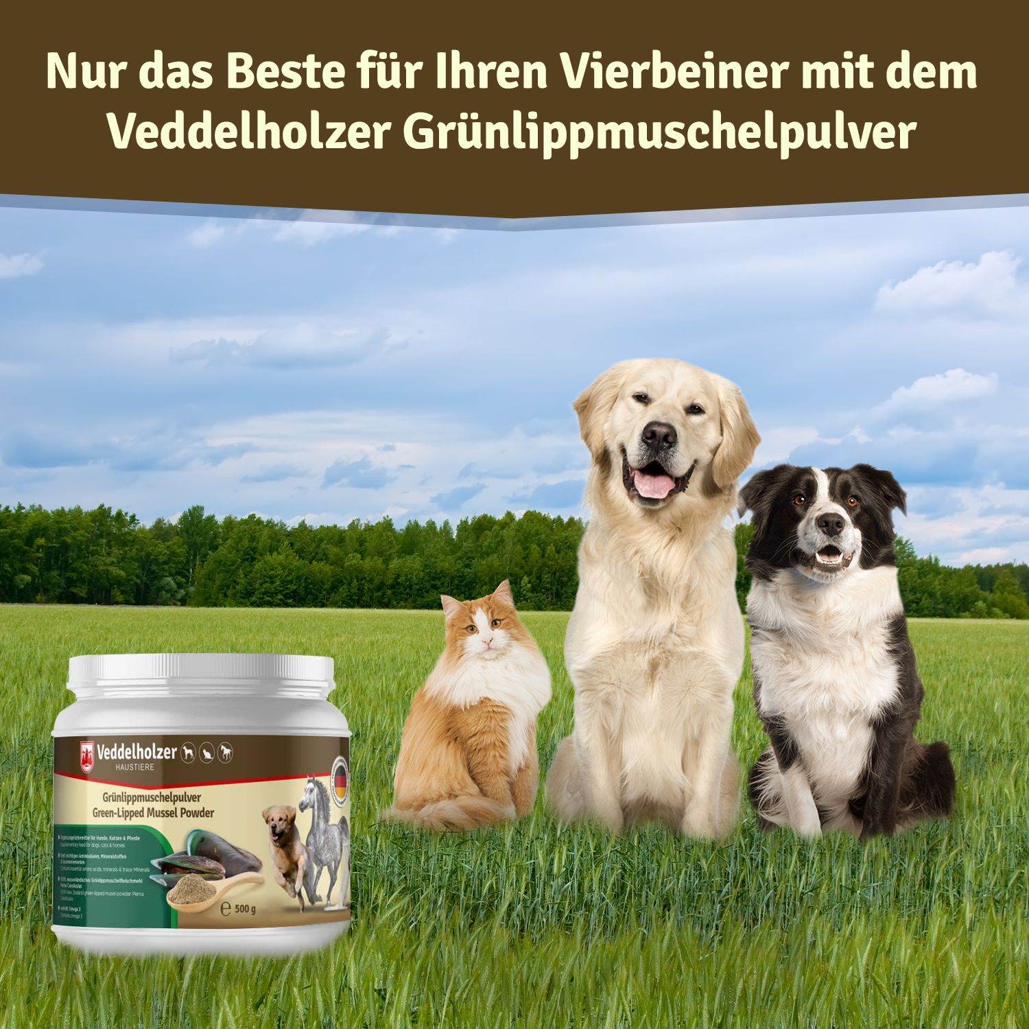 Produktglas mit Hund, Katze und Pferd auf Wiese. Text: Nur das Beste für Ihren Vierbeiner.