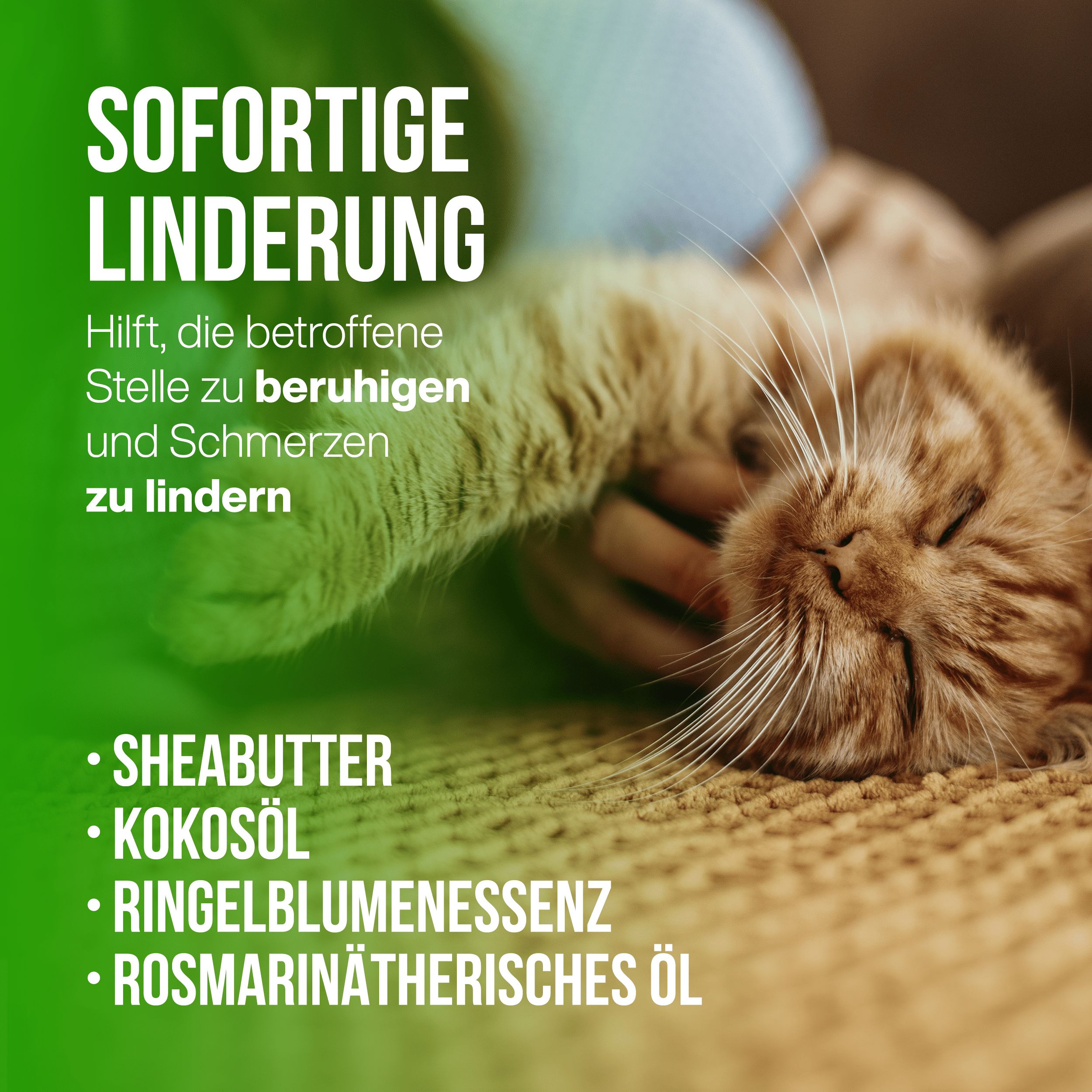 LA.GA Petbalm Pfotencreme & Nasenbalsam für Hunde und Katzen