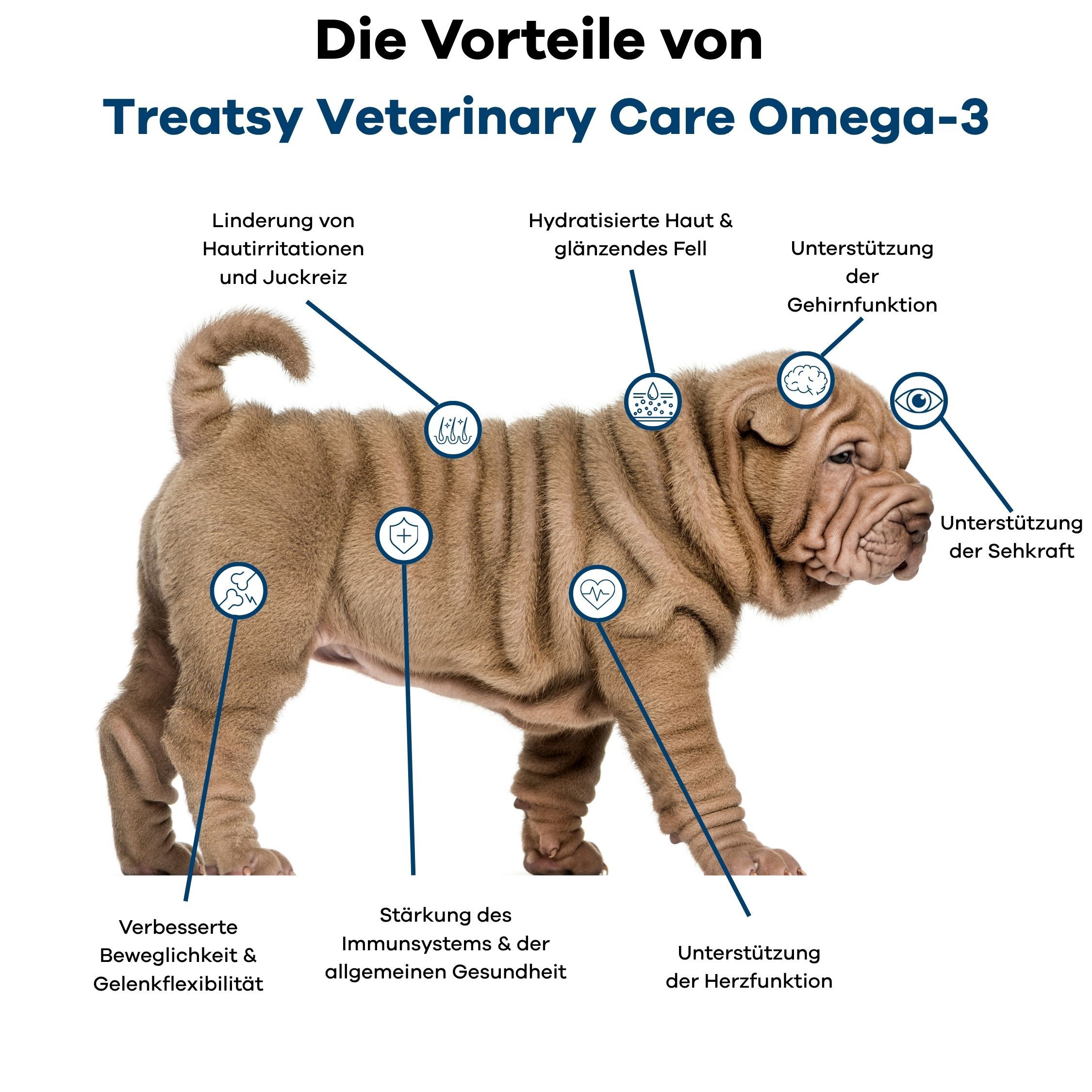 Ein Hund mit Markierungen, die die Vorteile von Omega-3 für Gesundheit und Fell hervorheben.
