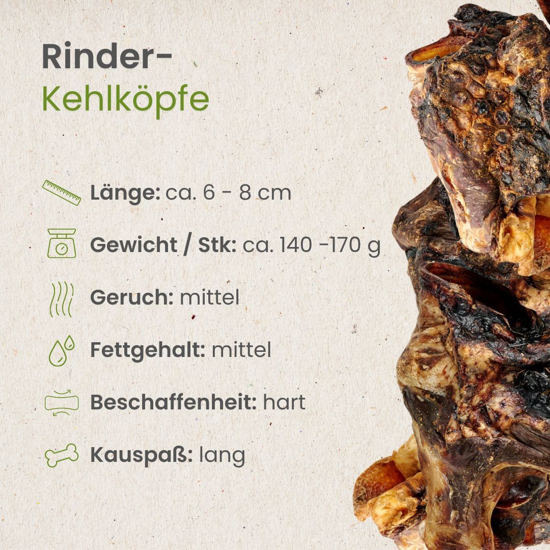 Ein Hund kaut auf einem getrockneten Rinderkehlkopf.
