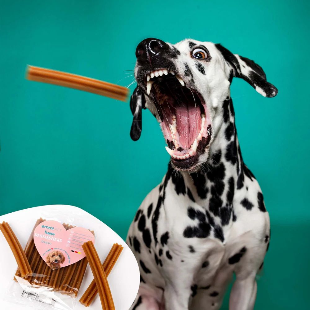 Ein Dalmatiner öffnet das Maul, ein Stick fliegt. Auf einem Teller liegen Sticks mit Verpackung.