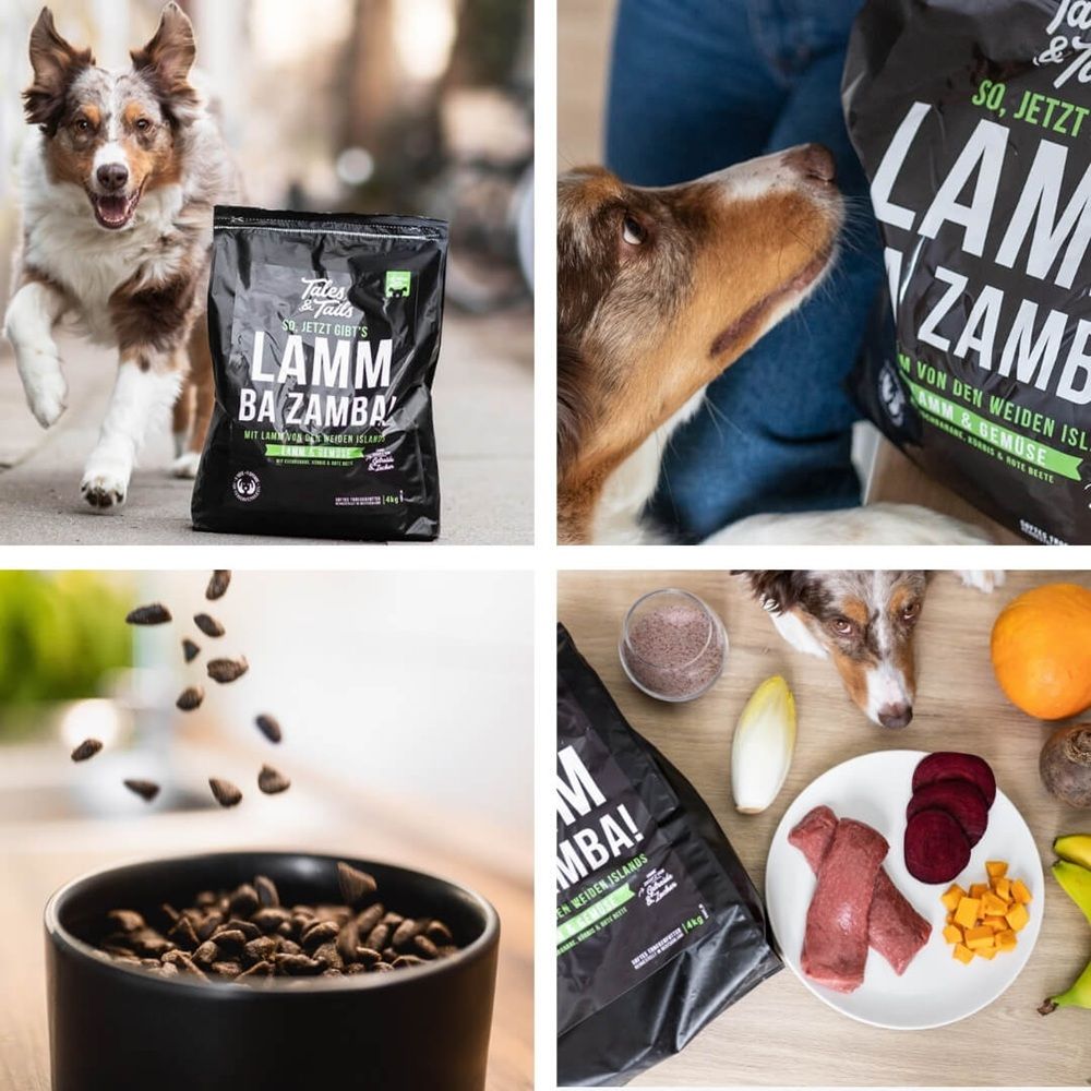 Tales & Tails Jetzt gibt's LammBa Zamba - Softes Trockenfutter mit Lamm