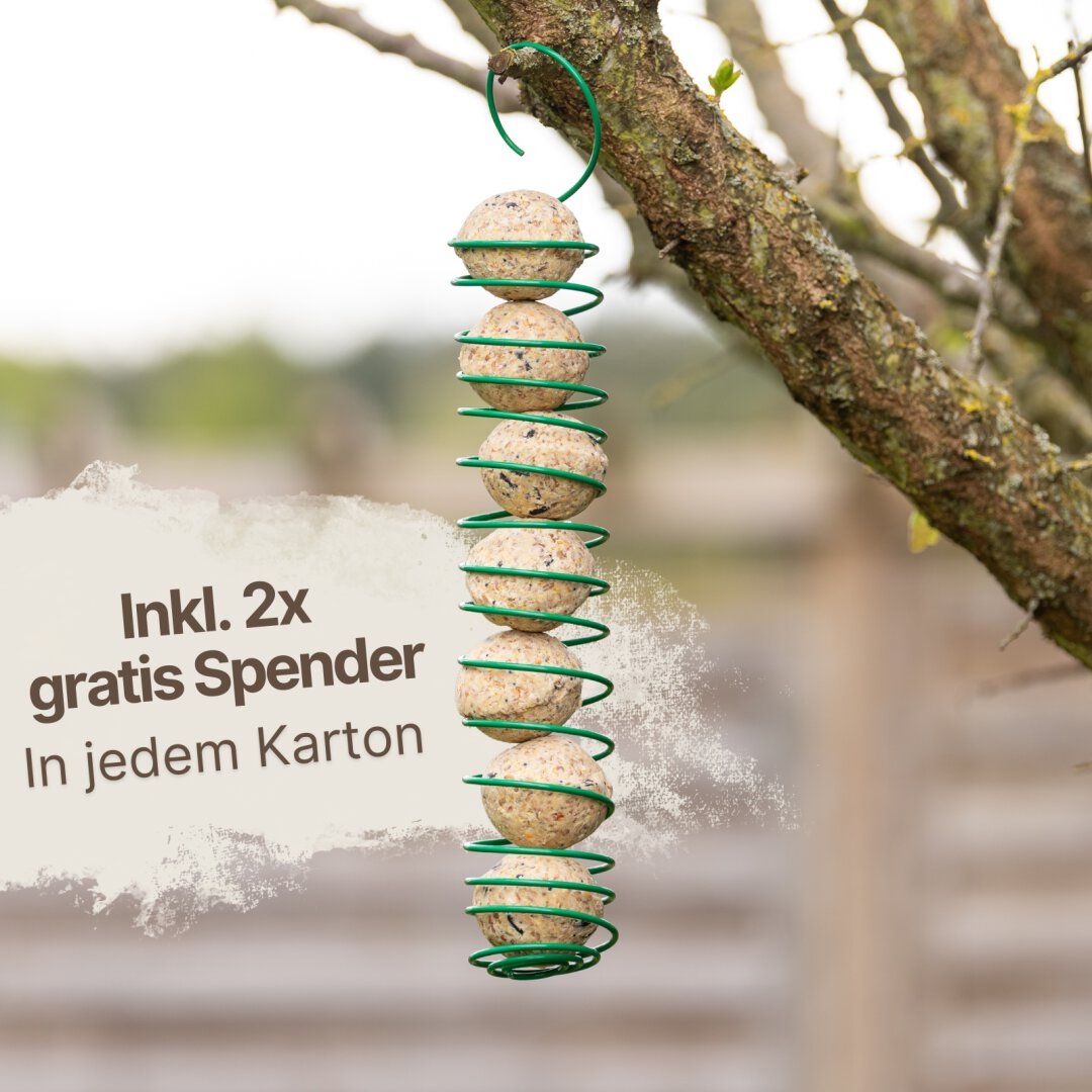 Lyra Pet® Meisenknödel aus der Alb-Mühle ohne Netz inkl. Spender ...