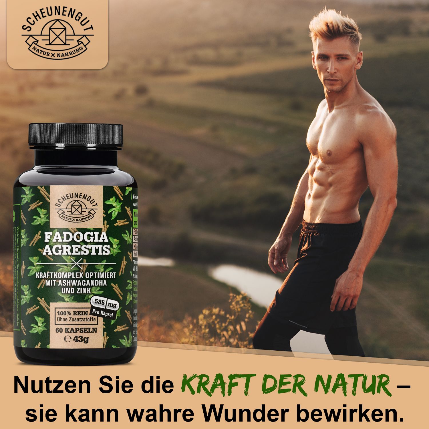 Scheunengut® Fadogia Agrestis | Hochdosierter 10:1 Extrakt optimiert mit Ashwagandha und Zink